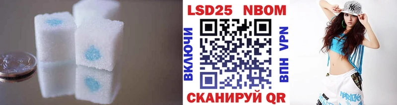 kraken tor  Спас-Клепики  Лсд 25 экстази ecstasy 