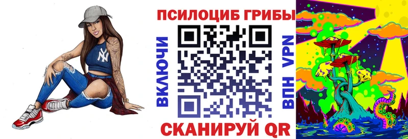 Галлюциногенные грибы Psilocybe  Спас-Клепики 